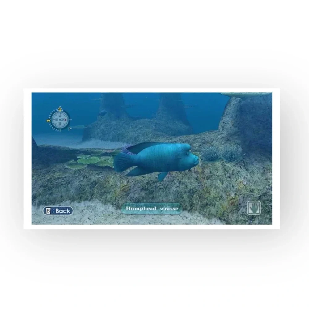 Nintendo htf wii